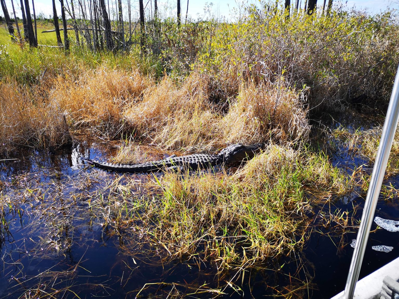 Okefenokee National Wildlife Refuge Georgia Leisure Travel Vans   Slide 3 1 1536x1152 