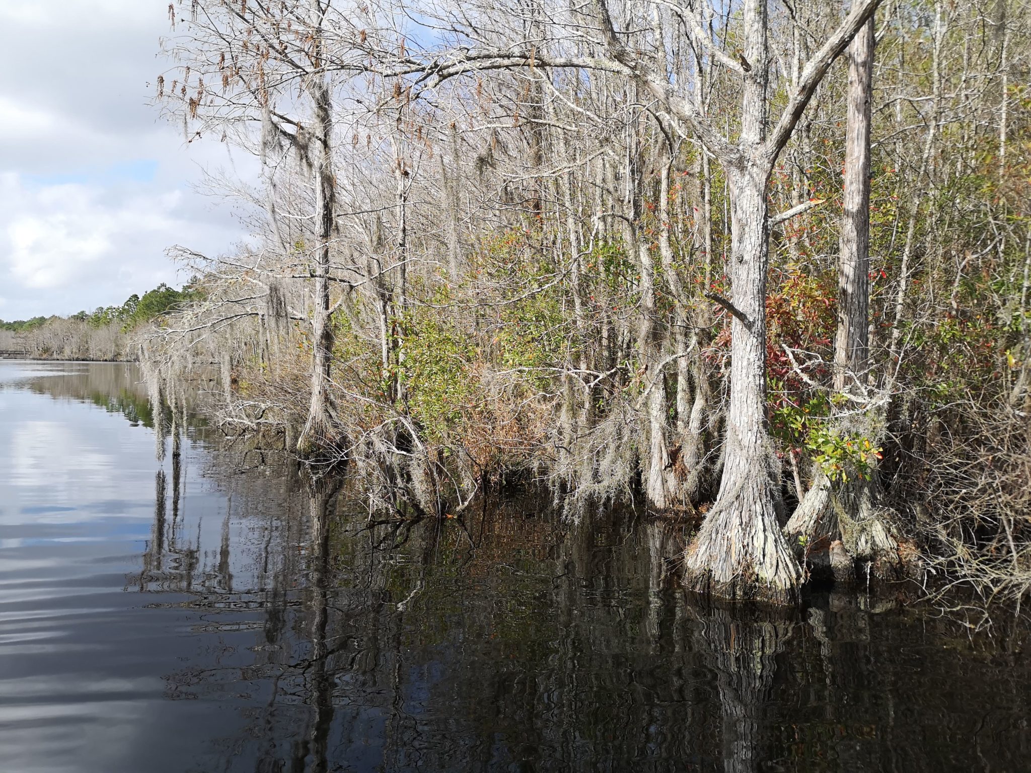 Okefenokee National Wildlife Refuge Georgia Leisure Travel Vans   Slide 30 1 2048x1536 