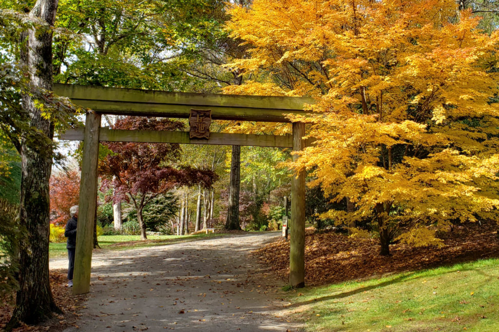 Torii Gate to the Japanese garden