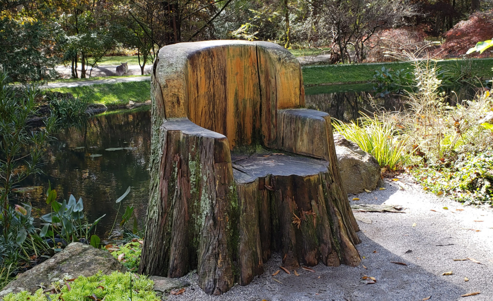 Chair carved from tree stump