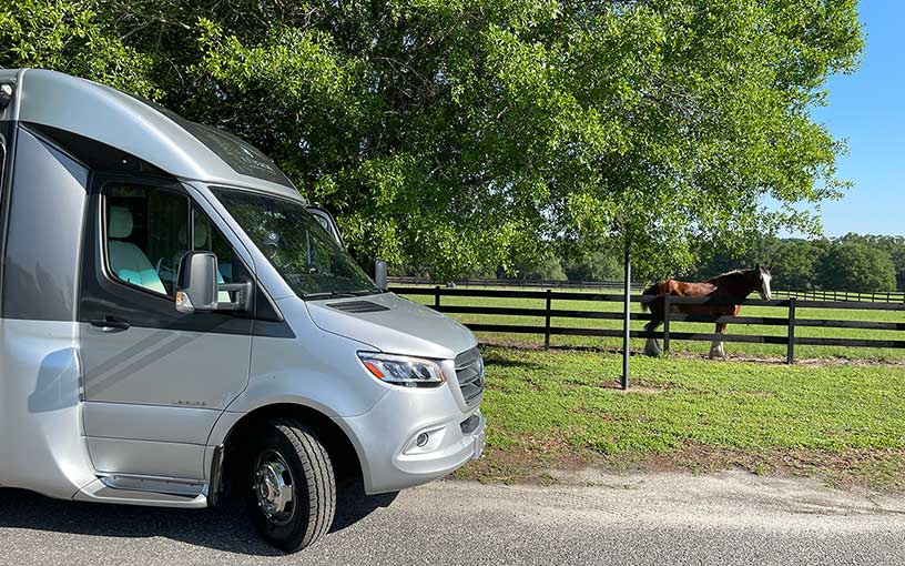 RV and a horse