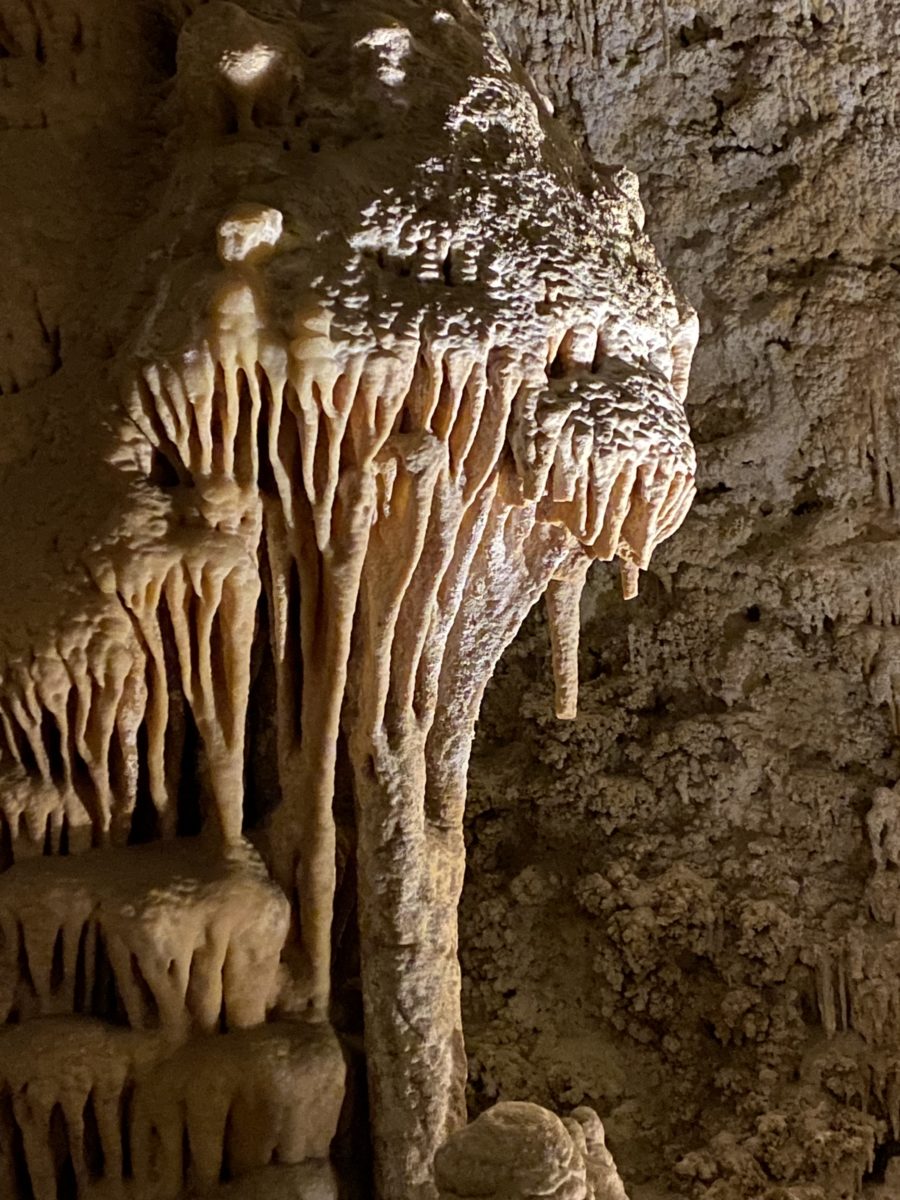 Heading West, Part III: Carlsbad Caverns - Leisure Travel Vans