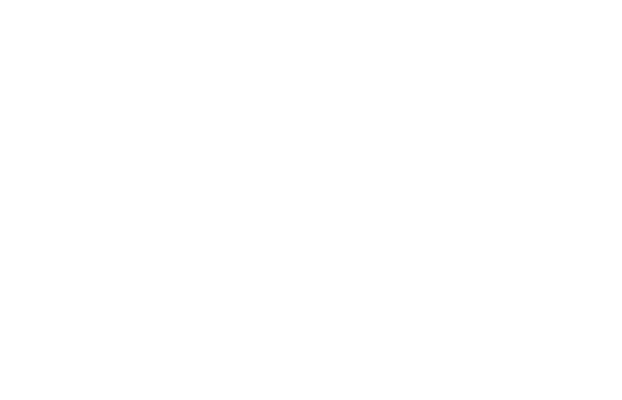 Triple Diamond Program logo