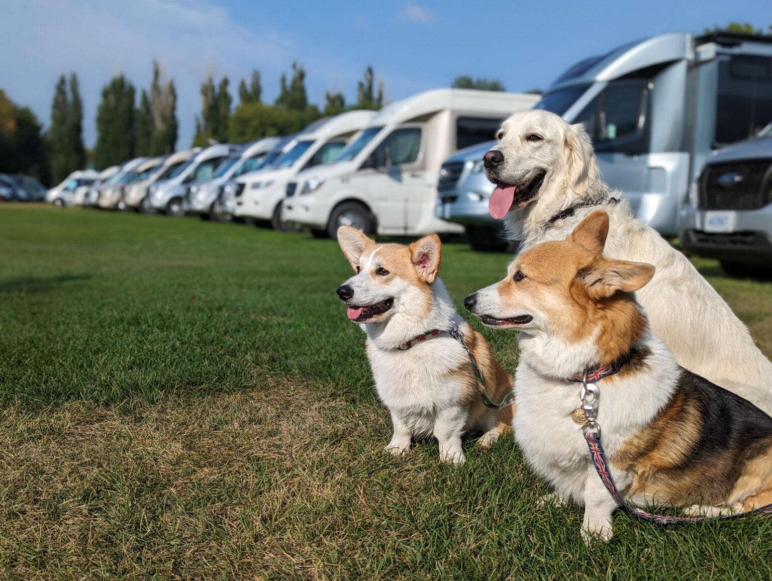 Loaded Dog Rally Road Tripping to the Rally and Back - Leisure Travel Vans