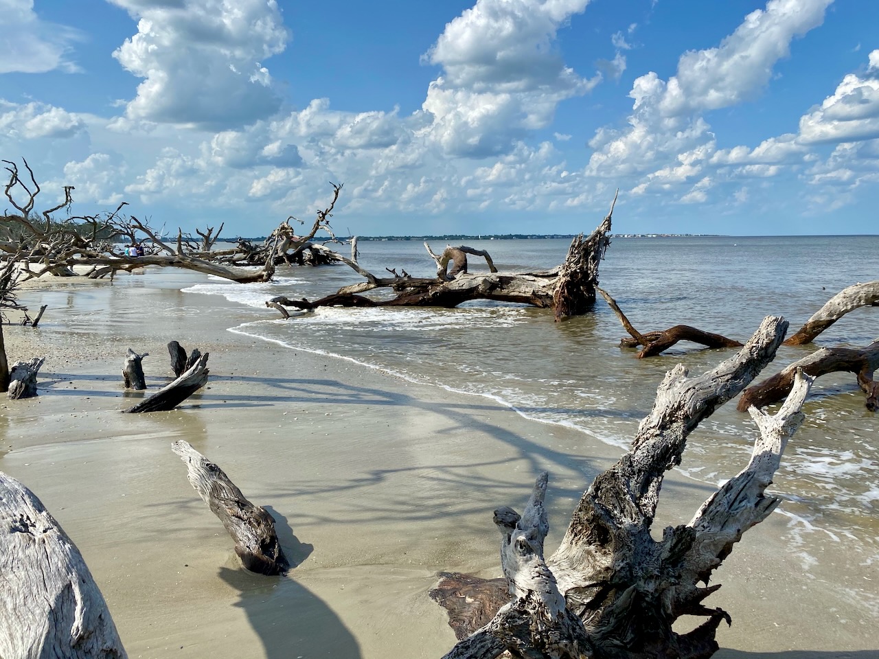 A view of Driftwood Beach with St. Simons Island in the background