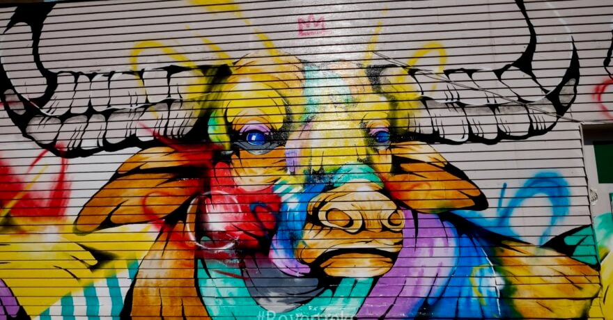 Bulls Head graphic, Mount Pleasant
