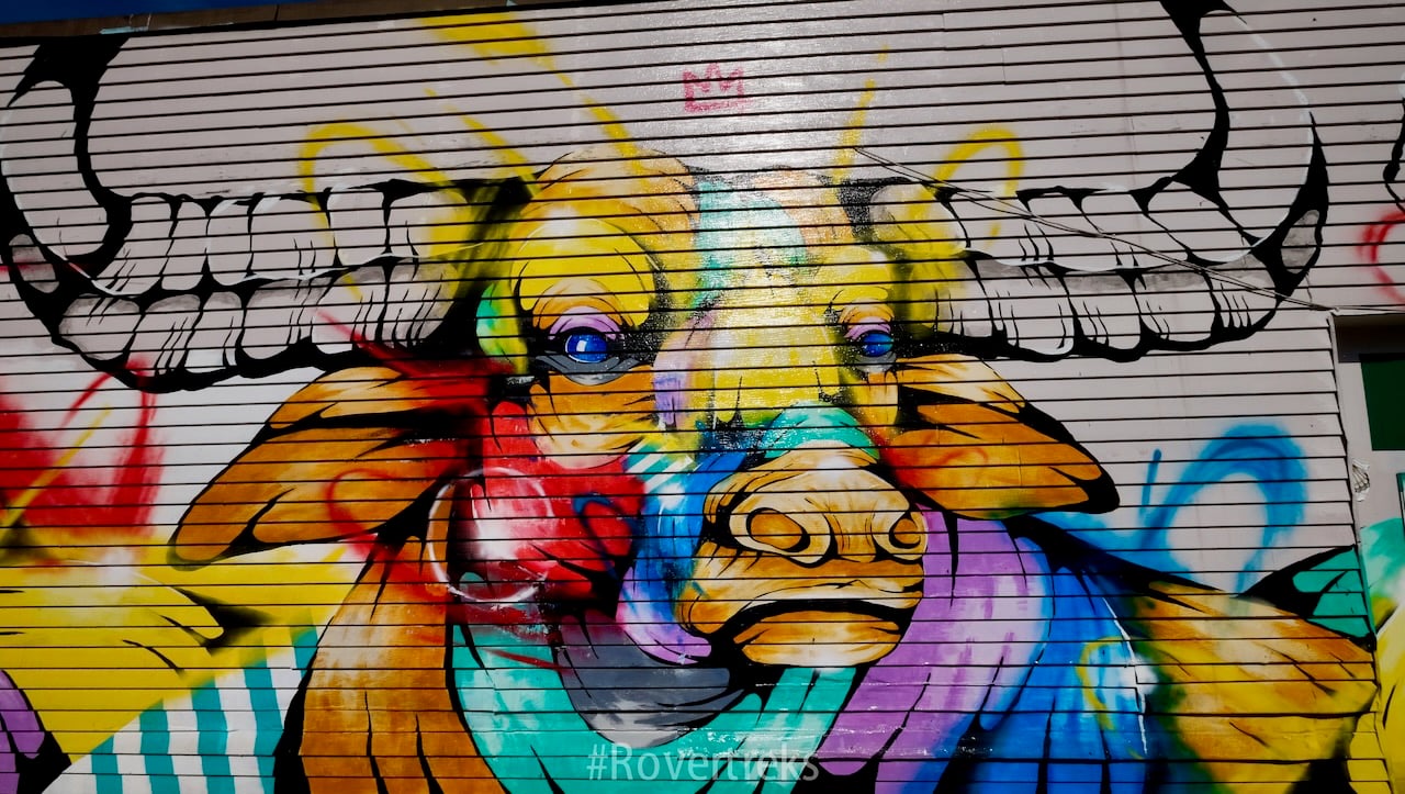 Bulls Head graphic, Mount Pleasant