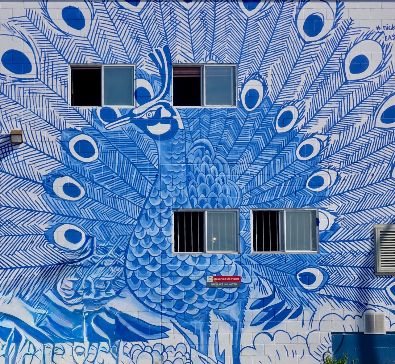 Peacock image in Mount Pleasant