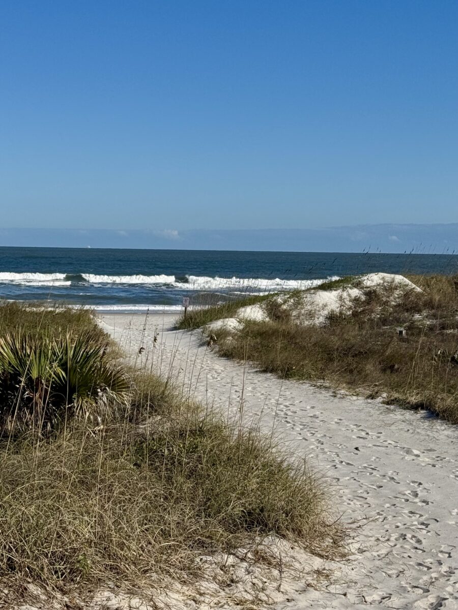 hanna park beach access
