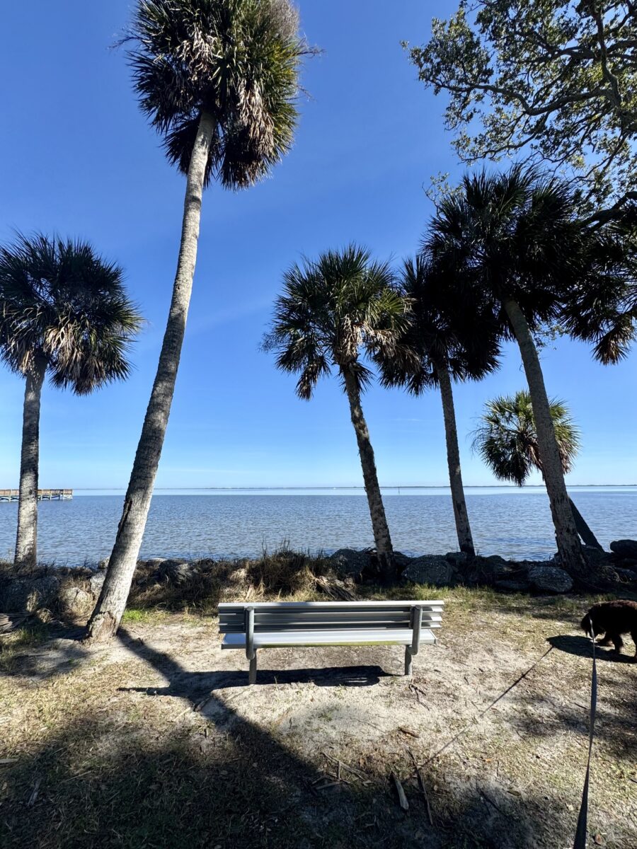 manatee hammock waterfront