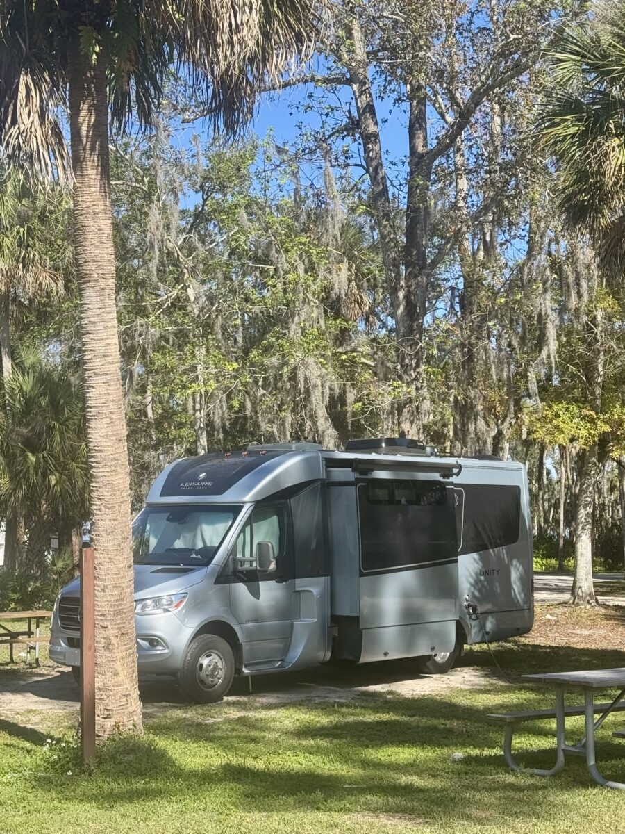 manatee hammock campsite
