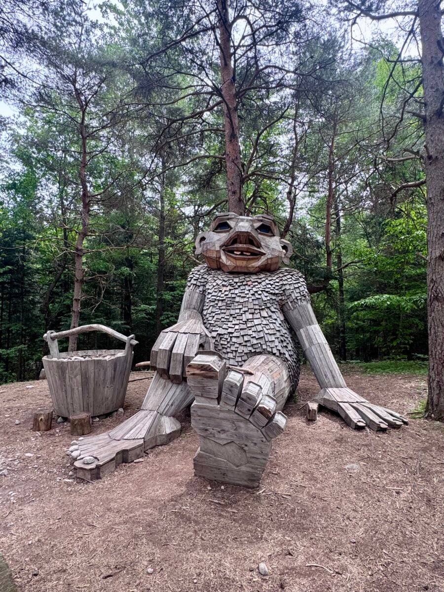 trolls at wild center